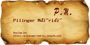 Pilinger Márió névjegykártya